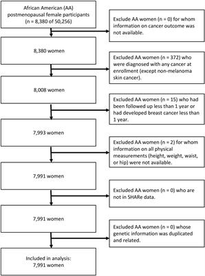 Interactions Between Adiponectin-Pathway Polymorphisms and Obesity on Postmenopausal Breast Cancer Risk Among African American Women: The WHI SHARe Study